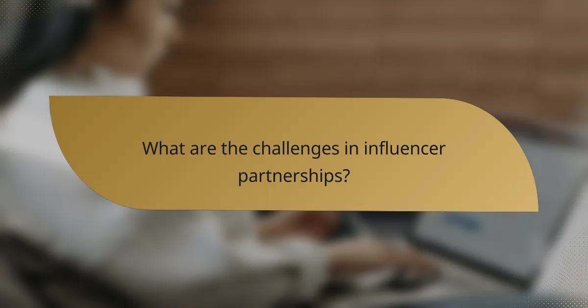 What are the challenges in influencer partnerships?